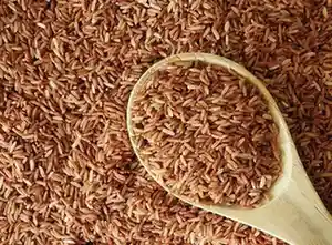 Brown RICE -mANSOURA cITY gYM A close-up, overhead view of uncooked brown rice grains. A light wooden spoon is positioned diagonally, filled with the rice, which matches the large background pile of the reddish-brown grains.