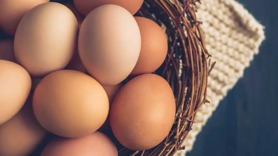 Eggs-Mansoura City Gym